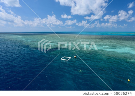 澳大利亞漢密爾頓島 澳大利亞漢密爾頓島 58036274