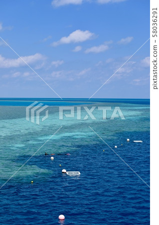 澳大利亞漢密爾頓島 澳大利亞漢密爾頓島 58036291