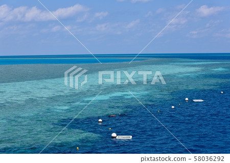 澳大利亞漢密爾頓島 澳大利亞漢密爾頓島 58036292