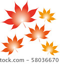 Autumn leaves 58036670