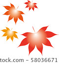 Autumn leaves 58036671