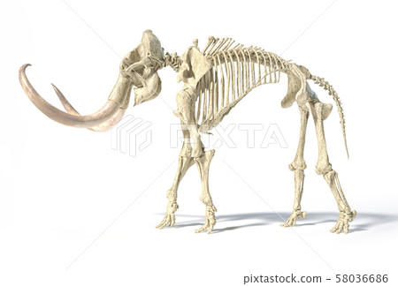 Woolly mammoth skeleton, realistic 3d 58036686