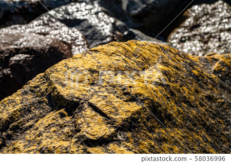 Moss-covered stones by the sea. 58036996