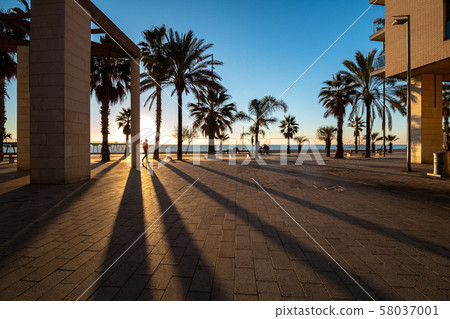 Promenade at sunset with deep shadows 58037001