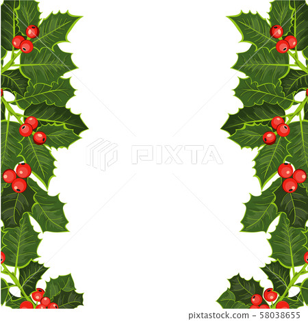 Merry Christmas card. Holly tree greeting cards template, winter holidays greetings poster with branch holly tree and berries. Xmas vintage banner vector Merry Christmas card. Holly tree greeting cards template, winter holidays greetings poster with branch holly tree and berries. Xmas vintage banner vector 58038655