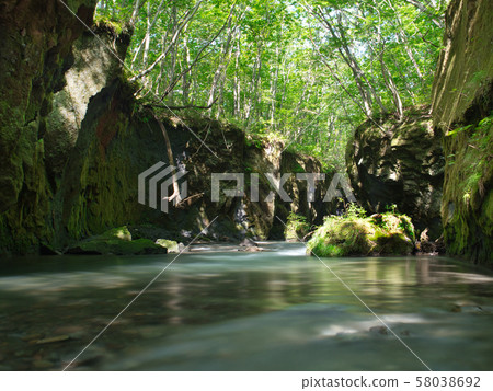 Tarumae Gallo 58038692