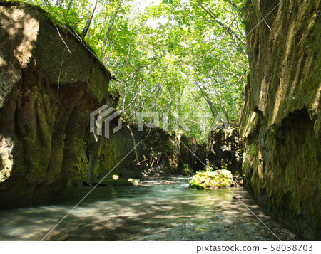 Tarumae Gallo Tarumae Gallo 58038703