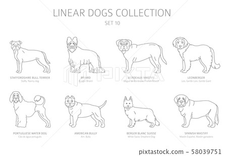 Simple line dogs collection isolated on white. Dog 58039751