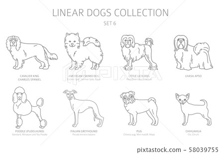 Simple line dogs collection isolated on white. Dog Simple line dogs collection isolated on white. Dog 58039755