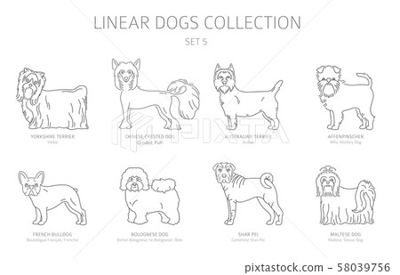 Simple line dogs collection isolated on white. Dog Simple line dogs collection isolated on white. Dog 58039756