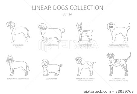 Simple line dogs collection isolated on white. Dog Simple line dogs collection isolated on white. Dog 58039762