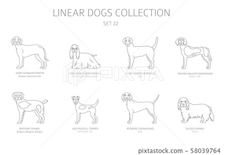 Simple line dogs collection isolated on white. Dog 58039764