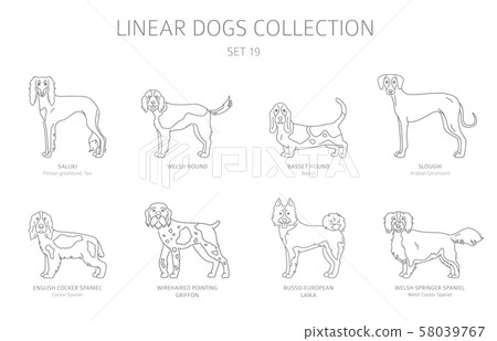 Simple line dogs collection isolated on white. Dog 58039767