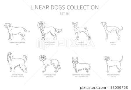 Simple line dogs collection isolated on white. Dog Simple line dogs collection isolated on white. Dog 58039768