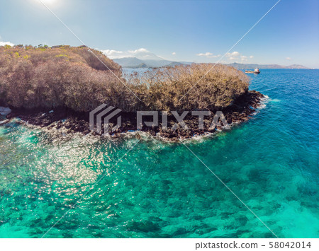 Couple snorkeling in the blue sea ocean and coral background aerial top view 58042014