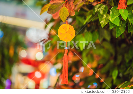 Chinese red lanterns for the Chinese New Year Chinese red lanterns for the Chinese New Year 58042593