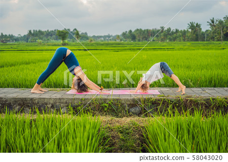 Boy and his yoga teacher doing yoga in a rice field Boy and his yoga teacher doing yoga in a rice field 58043020