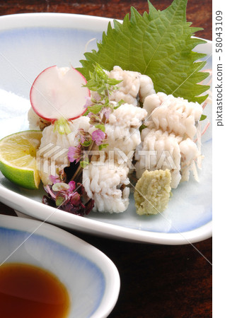 Hammo's hot water draw Hammo's hot water draw 58043109