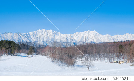 Nakayama Kogen in winter (overlooking the Northern Alps) 58045213