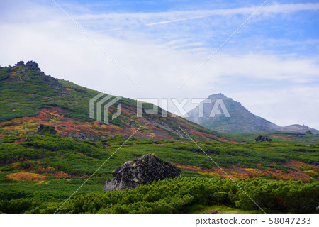 金仙台秋葉在北海道3 58047233