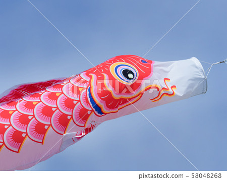 鯉魚旗 鯉魚旗 58048268