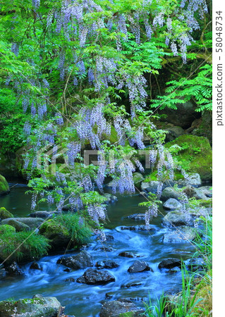 Wispering valley Wispering valley 58048734