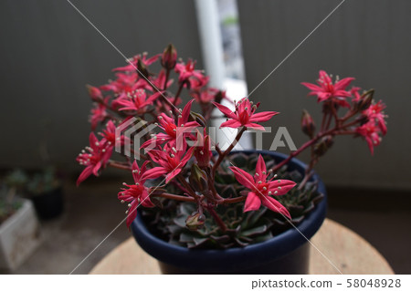 Takitasuberura Takitasuberura 58048928