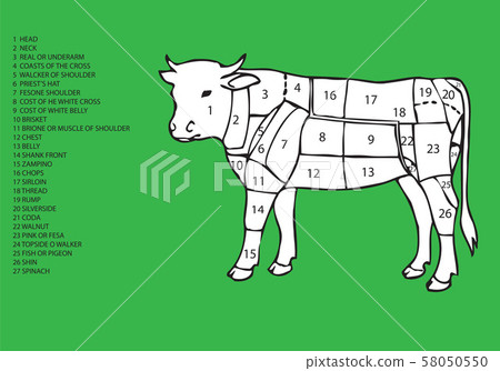image of bovine sectioned with list of meat cuts 58050550