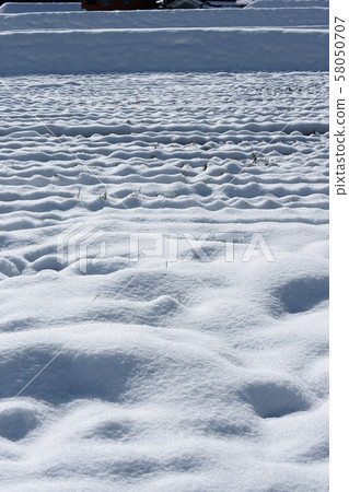 Tottori Four Seasons Walk Winter Landscape 58050707