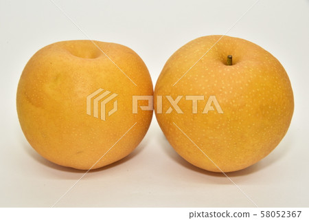 梨和新甜蜜的春天 58052367