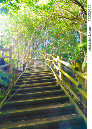 Stairs pointing through sunbeams 58052662