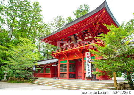 [Chiba Prefecture] Katori Jingu 58052858