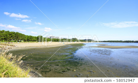 海上公園(秋天) 海上公園(秋天) 58052947