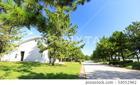 Sea park (autumn) 58052962