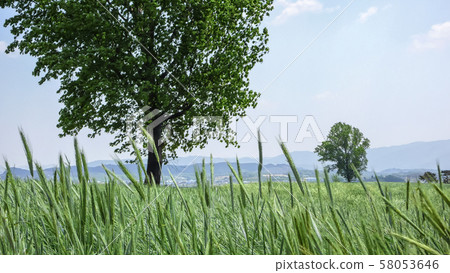 黑麥場,安城市,安城市,京畿道 黑麥場,安城市,安城市,京畿道 58053646