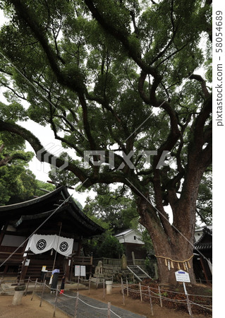 Onomichi Sakai Shrine Onomichi Sakai Shrine 58054689