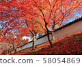 Autumn leaves at the entrance of the Shukuin gate 58054869