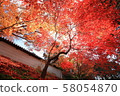Autumn leaves at the entrance of the Shukuin gate 58054870