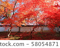 Autumn leaves at the entrance of the Shukuin gate 58054871
