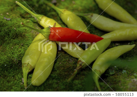 Xiaomi Ginseng, Xiaomi Ginseng, Ginseng, millet spicy, millet pepper, pepper, millet pepper, chili 58055113