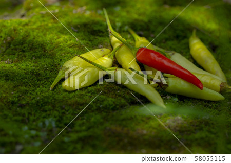 Xiaomi Ginseng, Xiaomi Ginseng, Ginseng, millet spicy, millet pepper, pepper, millet pepper, chili 58055115