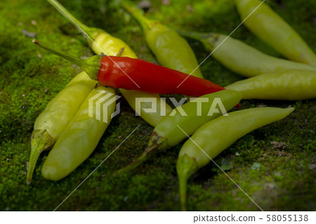 Xiaomi Ginseng, Xiaomi Ginseng, Ginseng, millet spicy, millet pepper, pepper, millet pepper, chili 58055138