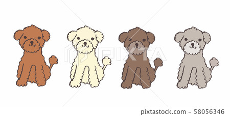 Poodle color variations Poodle color variations 58056346