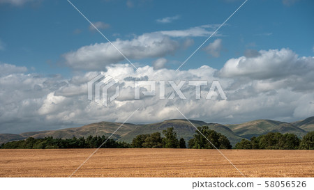 Lush farm lands in the Forth Valley 58056526