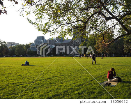 University of Toronto St. George Campus evening 58056652