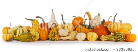 Assortiment of pumpkins on white Assortiment of pumpkins on white 58056923
