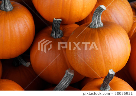 Many pumpkins background 58056931