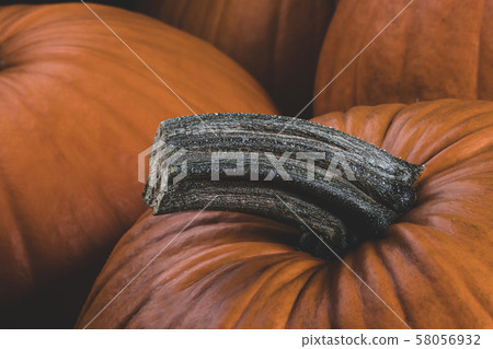 Many pumpkins background 58056932