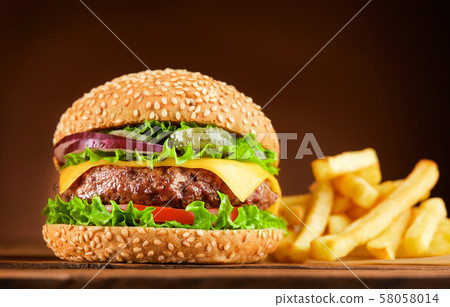 burger with french fries burger with french fries 58058014