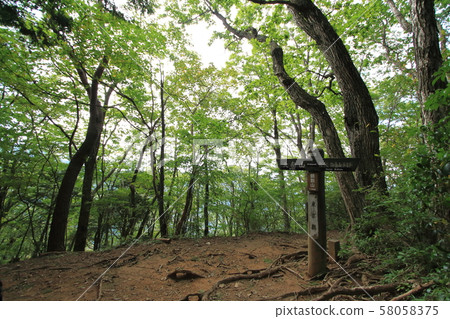 Mount Mitake 58058375